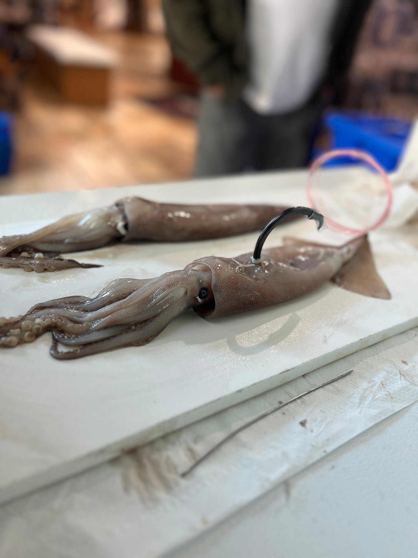 Ultra loud bang circle