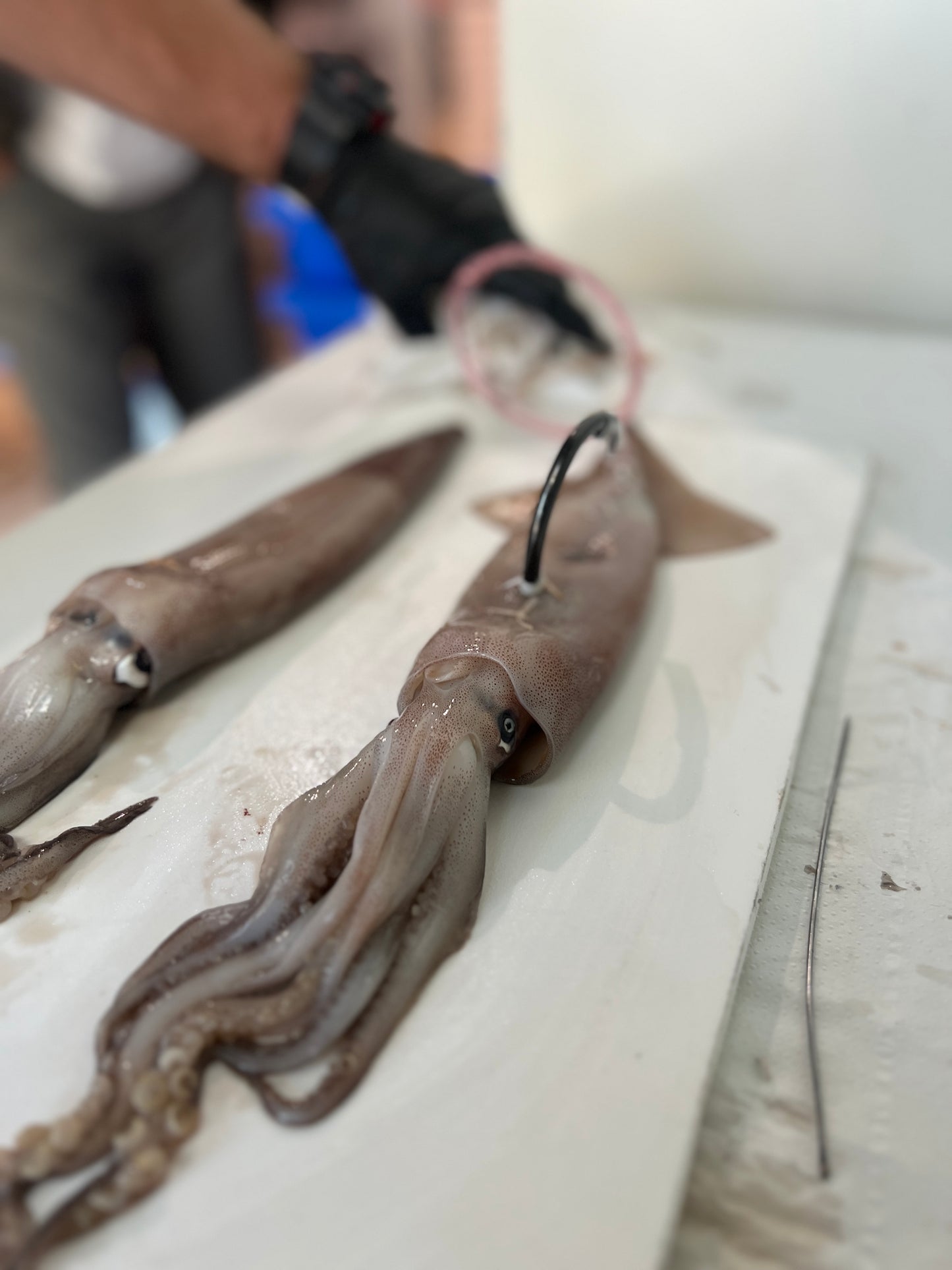 Ultra loud bang circle